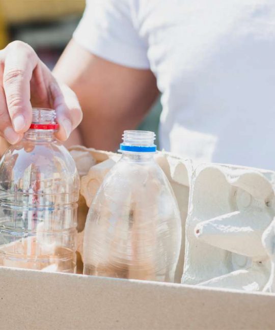 Ajude a preservar o meio ambiente com pequenas atitudes